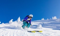 综合格斗赛场焦点！瑞士队对阵俄罗斯队，冠军之争悬念重重，胜负难料